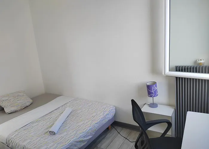 Une Chambre Dans Appartement Partage, Grenoble A 8 Min Du Centre-Ville